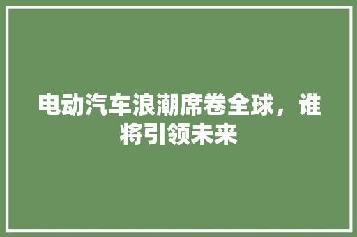 电动汽车浪潮席卷全球，谁将引领未来