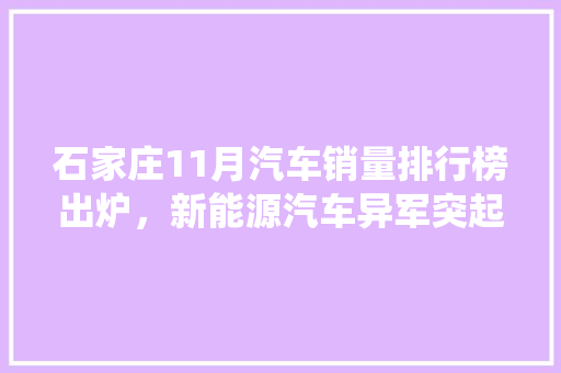石家庄11月汽车销量排行榜出炉，新能源汽车异军突起，传统车型稳中求进