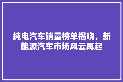 纯电汽车销量榜单揭晓，新能源汽车市场风云再起
