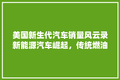 美国新生代汽车销量风云录新能源汽车崛起，传统燃油车面临挑战