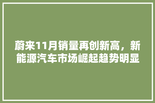 蔚来11月销量再创新高，新能源汽车市场崛起趋势明显