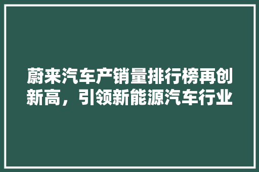 蔚来汽车产销量排行榜再创新高，引领新能源汽车行业发展