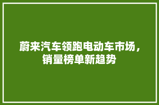 蔚来汽车领跑电动车市场，销量榜单新趋势