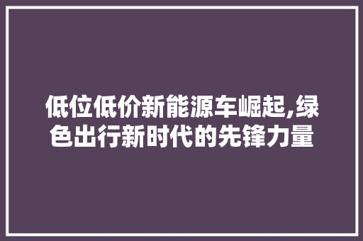 低位低价新能源车崛起,绿色出行新时代的先锋力量 车联网技术