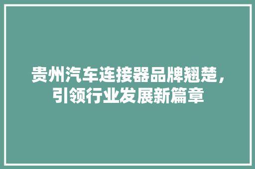 贵州汽车连接器品牌翘楚，引领行业发展新篇章