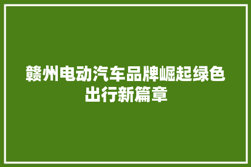 赣州电动汽车品牌崛起绿色出行新篇章 汽车展览