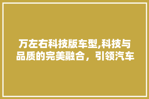 万左右科技版车型,科技与品质的完美融合，引领汽车新潮流