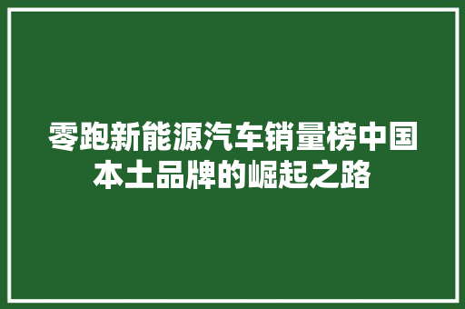 零跑新能源汽车销量榜中国本土品牌的崛起之路