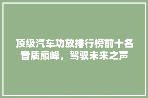 顶级汽车功放排行榜前十名音质巅峰，驾驭未来之声