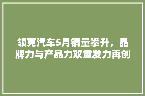 领克汽车5月销量攀升，品牌力与产品力双重发力再创佳绩