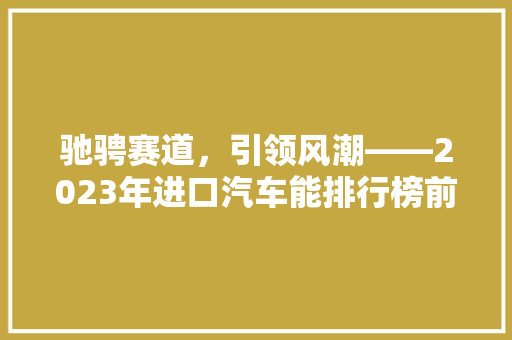 驰骋赛道，引领风潮——2023年进口汽车能排行榜前十名