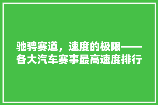 驰骋赛道，速度的极限——各大汽车赛事最高速度排行榜