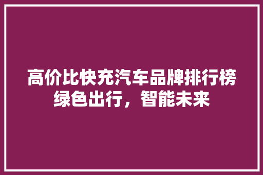 高价比快充汽车品牌排行榜绿色出行，智能未来 汽车保养