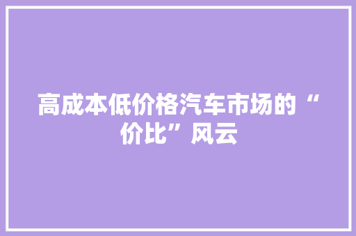 高成本低价格汽车市场的“价比”风云 新能源汽车