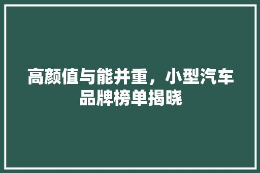 高颜值与能并重，小型汽车品牌榜单揭晓 汽车保养