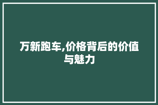 万新跑车,价格背后的价值与魅力