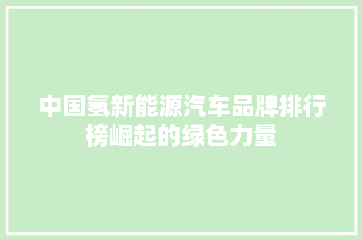 中国氢新能源汽车品牌排行榜崛起的绿色力量