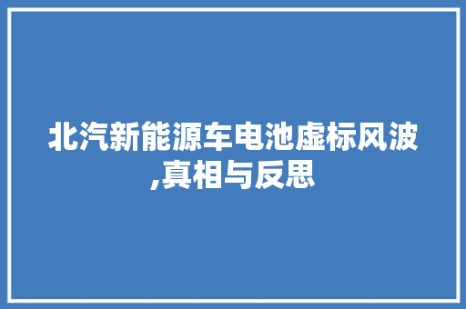 北汽新能源车电池虚标风波,真相与反思