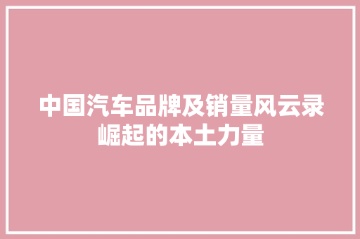 中国汽车品牌及销量风云录崛起的本土力量