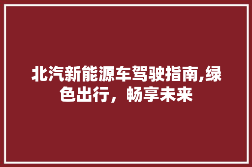 北汽新能源车驾驶指南,绿色出行，畅享未来 智能驾驶