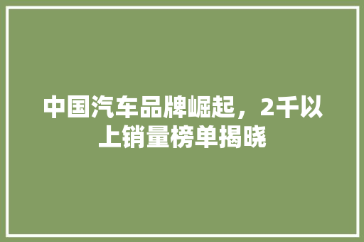 中国汽车品牌崛起，2千以上销量榜单揭晓