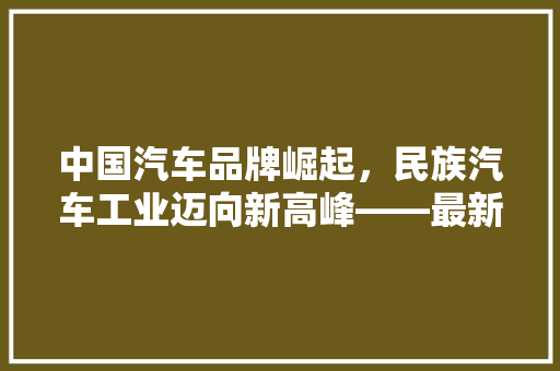 中国汽车品牌崛起，民族汽车工业迈向新高峰——最新国内汽车品牌地位排行榜