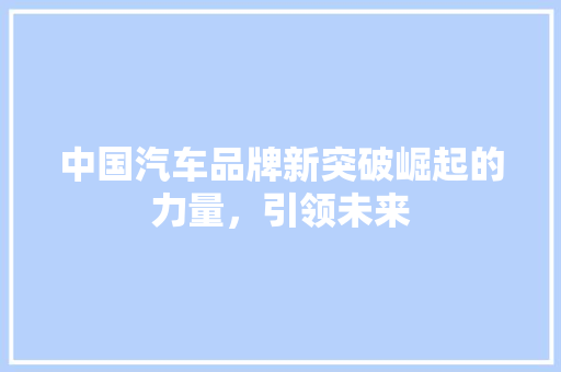 中国汽车品牌新突破崛起的力量，引领未来
