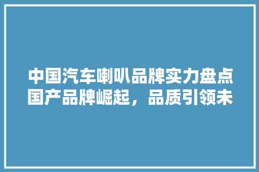 中国汽车喇叭品牌实力盘点国产品牌崛起，品质引领未来