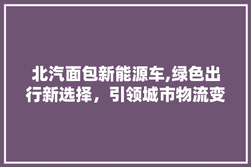 北汽面包新能源车,绿色出行新选择，引领城市物流变革 新能源汽车