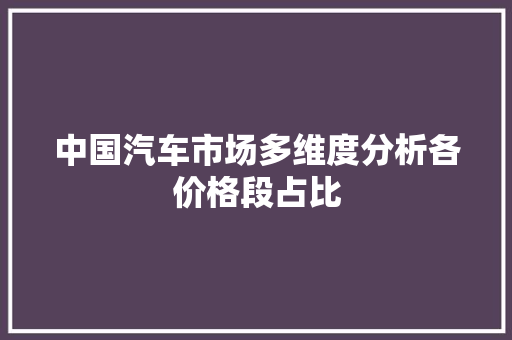 中国汽车市场多维度分析各价格段占比