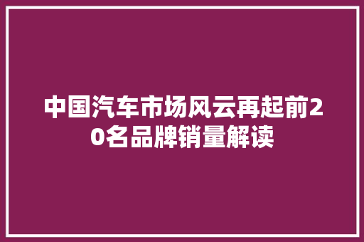 中国汽车市场风云再起前20名品牌销量解读 新能源汽车