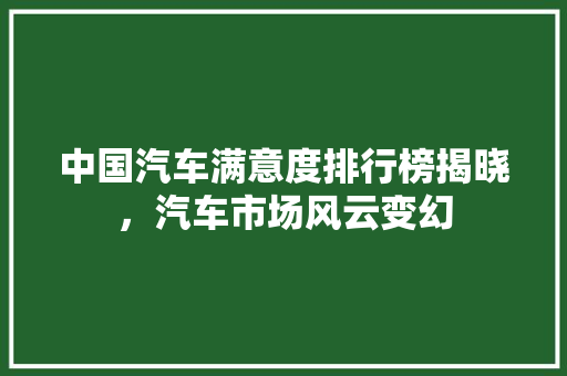 中国汽车满意度排行榜揭晓，汽车市场风云变幻