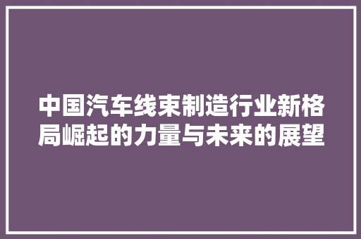 中国汽车线束制造行业新格局崛起的力量与未来的展望