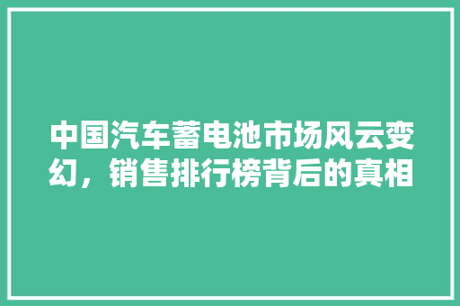 中国汽车蓄电池市场风云变幻，销售排行榜背后的真相