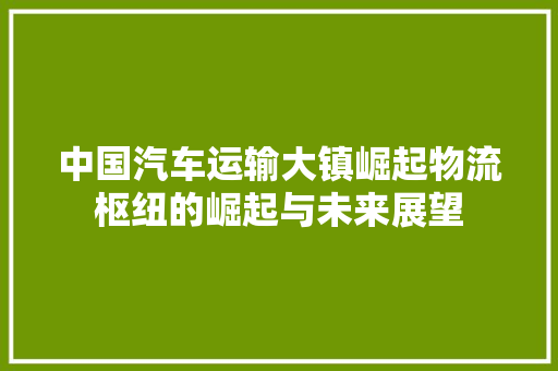 中国汽车运输大镇崛起物流枢纽的崛起与未来展望