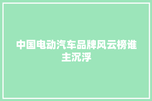 中国电动汽车品牌风云榜谁主沉浮