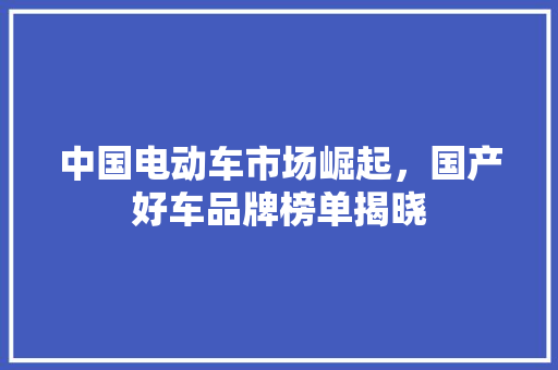 中国电动车市场崛起，国产好车品牌榜单揭晓 新能源汽车