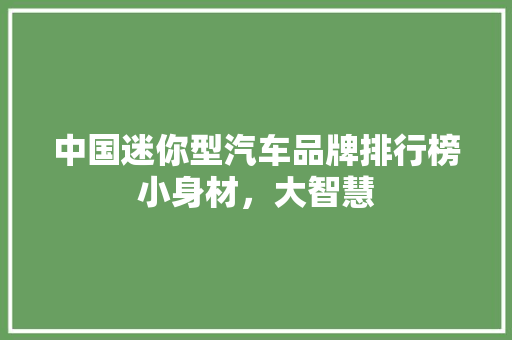 中国迷你型汽车品牌排行榜小身材，大智慧