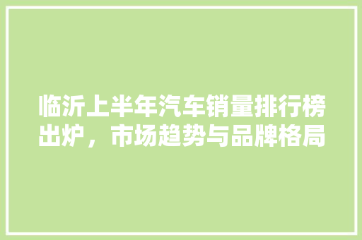 临沂上半年汽车销量排行榜出炉，市场趋势与品牌格局 汽车展览