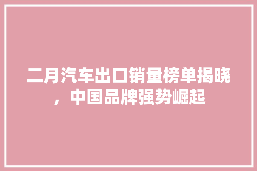 二月汽车出口销量榜单揭晓，中国品牌强势崛起