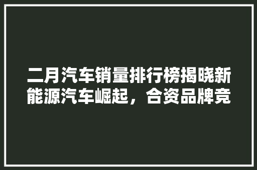 二月汽车销量排行榜揭晓新能源汽车崛起，合资品牌竞争加剧