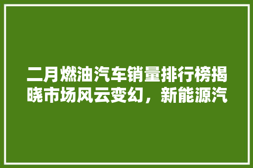 二月燃油汽车销量排行榜揭晓市场风云变幻，新能源汽车崛起