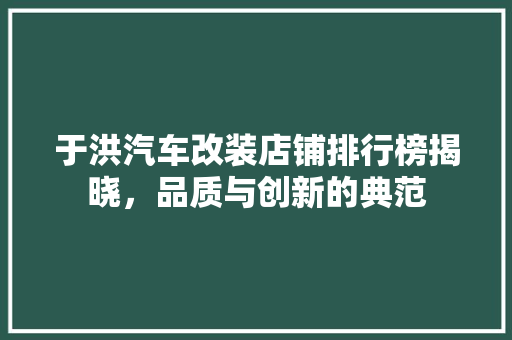 于洪汽车改装店铺排行榜揭晓，品质与创新的典范
