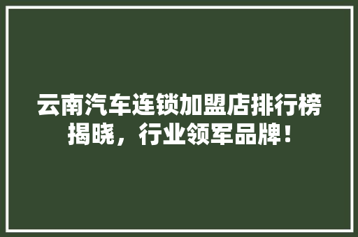 云南汽车连锁加盟店排行榜揭晓，行业领军品牌！