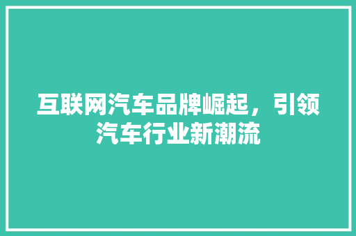 互联网汽车品牌崛起，引领汽车行业新潮流