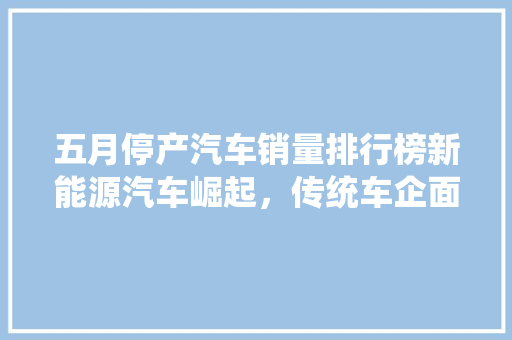 五月停产汽车销量排行榜新能源汽车崛起，传统车企面临挑战