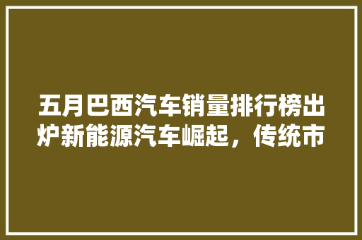 五月巴西汽车销量排行榜出炉新能源汽车崛起，传统市场面临挑战