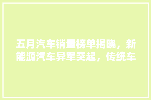 五月汽车销量榜单揭晓，新能源汽车异军突起，传统车企面临挑战