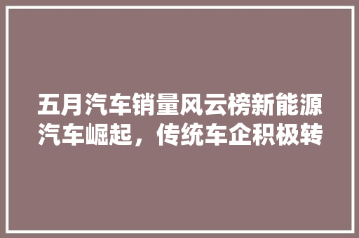 五月汽车销量风云榜新能源汽车崛起，传统车企积极转型