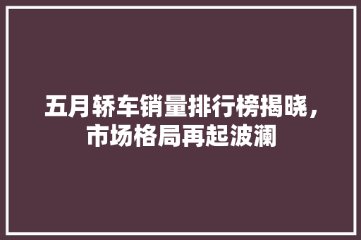 五月轿车销量排行榜揭晓，市场格局再起波澜